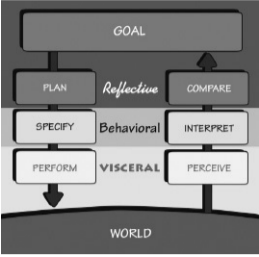 An image of the action cycle